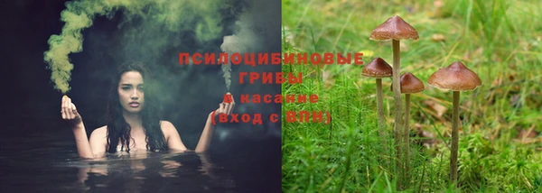 мяу мяу мука Инта