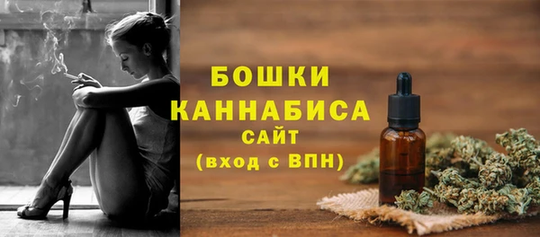 крисы Инсар