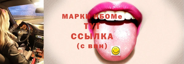 сатива Иннополис