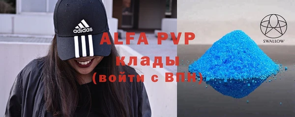 сатива Иннополис
