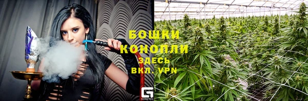 сатива Иннополис