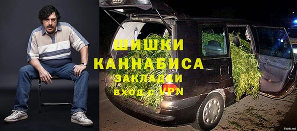 сатива Иннополис