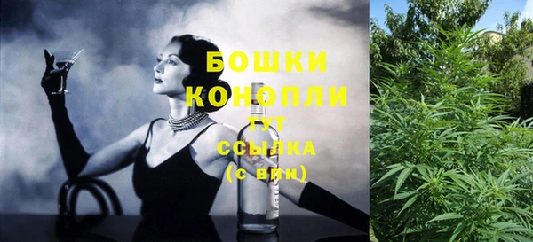 сатива Иннополис