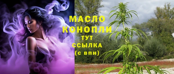крисы Инсар