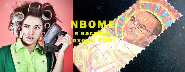 сатива Иннополис