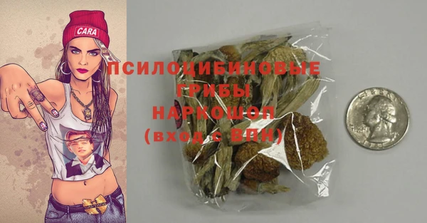мяу мяу мука Инта