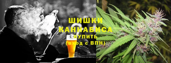 сатива Иннополис