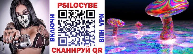 Купить где  Карачев  Псилоцибиновые грибы MAGIC MUSHROOMS 
