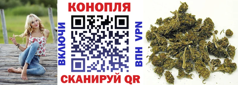Каннабис сатива  Купить где  Карачев 